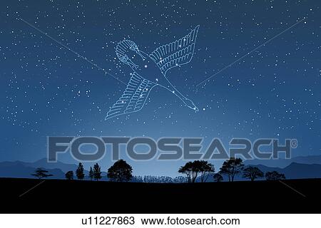 Image of Astrology sign, Cygnus View Large Photo Image Stock Image - Image of Astrology sign, Cygnus. Fotosearch