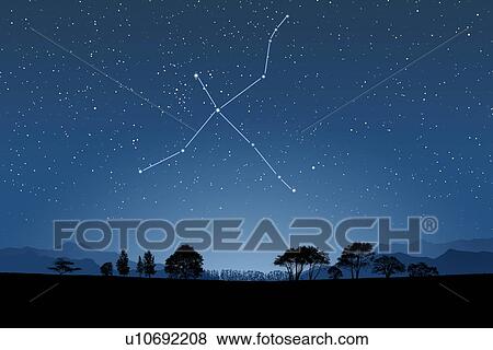 Stock Photo - Image of Astrology sign, Cygnus. Fotosearch
