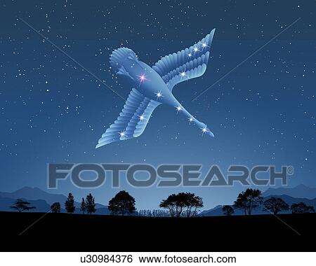 Stock Photograph - Image of Astrology sign, Cygnus. Fotosearch