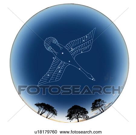 Stock Image - Image of Astrology sign, Cygnus, white background. Fotosearch