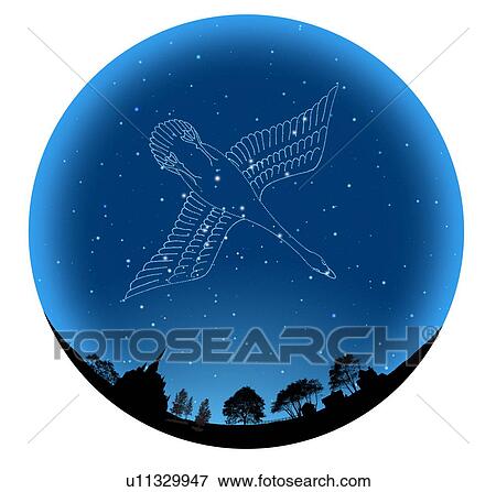 Image of Astrology sign, Cygnus, white background View Large Photo Image Stock Photo - Image of Astrology sign, Cygnus, white background. Fotosearch