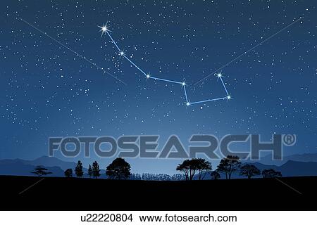 Picture - Image of Astrology sign, Ursa Minor. Fotosearch