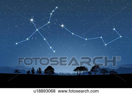 Stock Photo - Image of Astrology signs, (Cygnus, Ursa Minor). Fotosearch