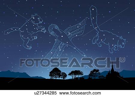 Stock Photography - Image of Astrology signs, (Cygnus, Ursa Major, Ursa Minor). Fotosearch