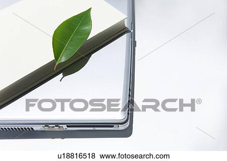 Stock Photo - Leaf and book on laptop, close up, white background. Fotosearch