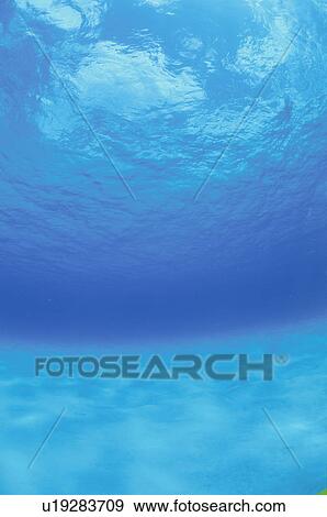 Stock Photo - Looking Up Water Surface From Sea Bottom. Fotosearch