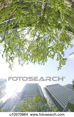 Picture - Office buildings under sky, fish-eye lens, lens flare, Tokyo prefecture, Japan. Fotosearch