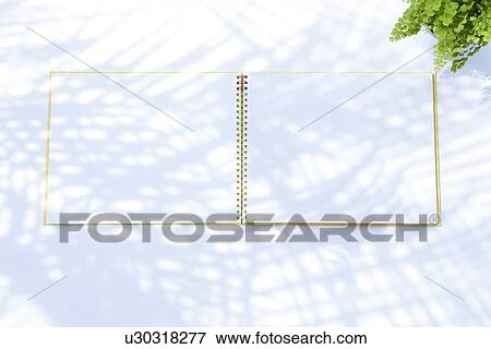 Stock Photo - Opened sketchbook and potted plant, white background. Fotosearch