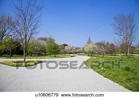 Paved footpath in park, Tama city, Tokyo prefecture, Japan View Large Photo Image Stock Photo - Paved footpath in park, Tama city, Tokyo prefecture, Japan. Fotosearch