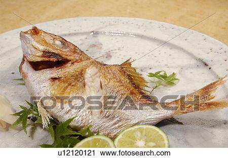 Plate of grilled sea bream, close up View Large Photo Image Stock Image - Plate of grilled sea bream, close up. Fotosearch
