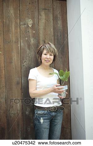 Portrait of mature woman holding potted plant, smiling View Large Photo Image Stock Image - Portrait of mature woman holding potted plant, smiling. Fotosearch