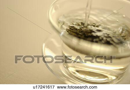 Pouring boiled water into Chinese tea View Large Photo Image Stock Photo - Pouring boiled water into Chinese tea. Fotosearch