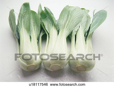 Qing-Geng-Cai View Large Photo Image Stock Photograph - Qing-Geng-Cai. Fotosearch