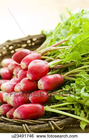 Stock Photograph - Radish in a basket. Fotosearch
