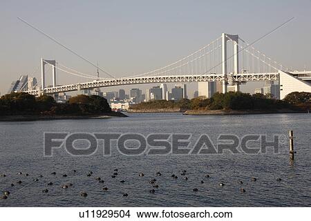 Rainbow bridge, Tokyo Prefecture, Honshu, Japan View Large Photo Image Picture - Rainbow bridge, Tokyo Prefecture, Honshu, Japan. Fotosearch