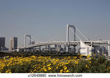 Stock Image - Rainbow bridge, Tokyo Prefecture, Honshu, Japan. Fotosearch