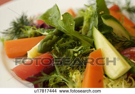 Picture - Salad. Fotosearch