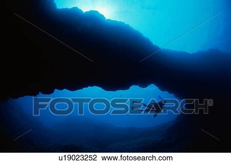 Scuba diver underwater View Large Photo Image Stock Image - Scuba diver underwater. Fotosearch