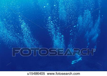 Scuba divers and bubbles underwater View Large Photo Image Stock Photography - Scuba divers and bubbles underwater. Fotosearch