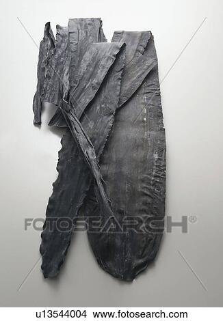 Picture - Seaweed. Fotosearch