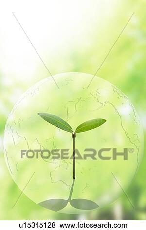 Stock Photo - Seedling in green globe, computer graphic. Fotosearch