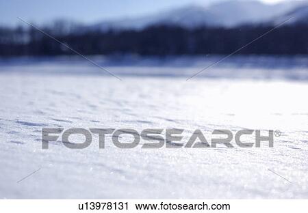 Stock Image - Snow field and trees. Fotosearch