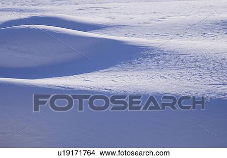 Picture - Snow field. Fotosearch