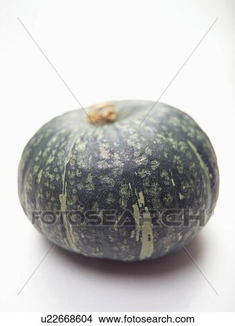 Squash View Large Photo Image Picture - Squash. Fotosearch