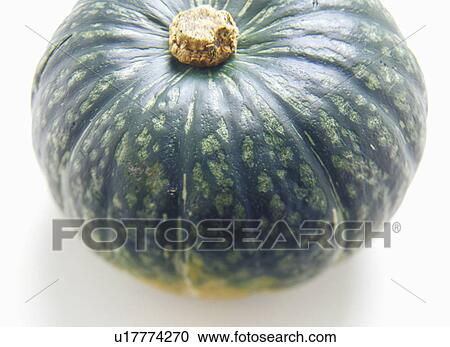 Squash View Large Photo Image Stock Image - Squash. Fotosearch