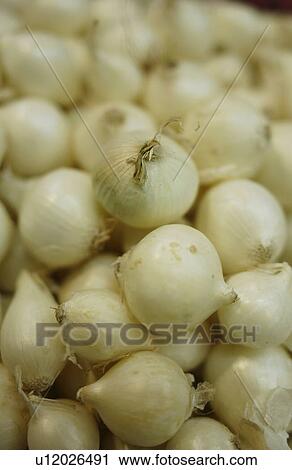 Stack of onions, close up, full frame View Large Photo Image Stock Image - Stack of onions, close up, full frame. Fotosearch