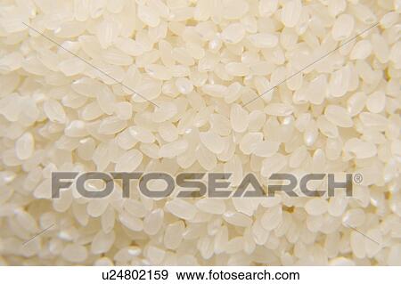 Stack of raw rice, close up, full frame View Large Photo Image Stock Photo - Stack of raw rice, close up, full frame. Fotosearch