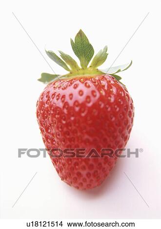 Picture - Strawberry. Fotosearch