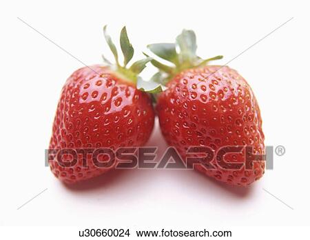 Picture - Strawberry. Fotosearch