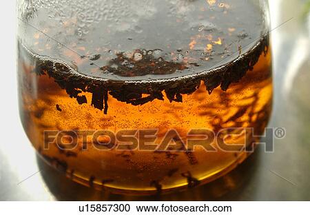 Tea in glass View Large Photo Image Stock Image - Tea in glass. Fotosearch