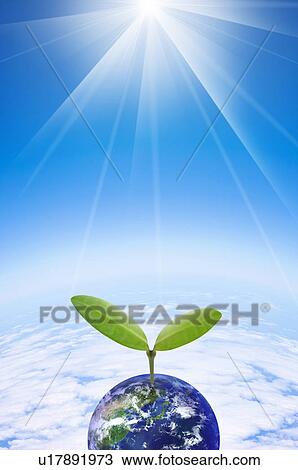 Stock Image - The earth with seedling under sunbeam, computer graphic. Fotosearch