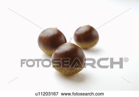 Three Chestnuts View Large Photo Image Stock Photo - Three Chestnuts. Fotosearch
