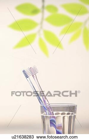 Toothbrushes in glass, white background View Large Photo Image Stock Image - Toothbrushes in glass, white background. Fotosearch