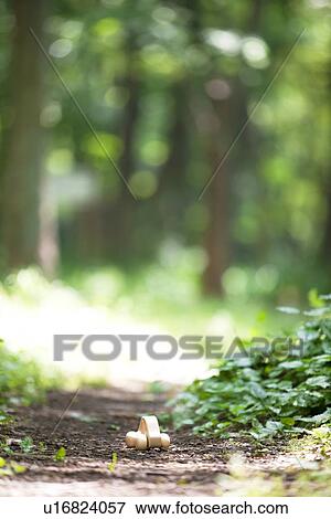 Toy car on mountain road, differential focus View Large Photo Image Stock Photo - Toy car on mountain road, differential focus. Fotosearch