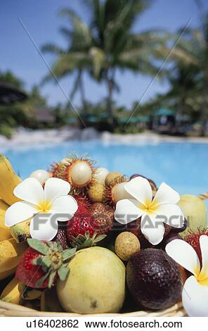 Tropical Fruits by Poolside View Large Photo Image Stock Image - Tropical Fruits by Poolside. Fotosearch