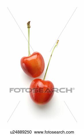 Two cherries on white background View Large Photo Image Stock Image - Two cherries on white background. Fotosearch