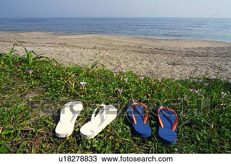 Two pairs of sandals on beach View Large Photo Image Stock Image - Two pairs of sandals on beach. Fotosearch