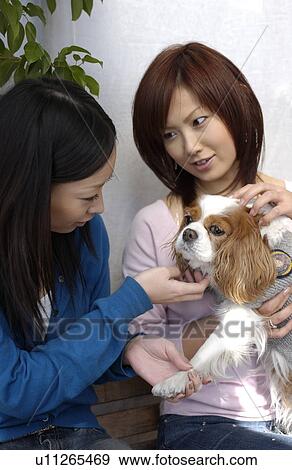 Stock Photo - Two young women stroking Cavalier King Charles Spaniel. Fotosearch