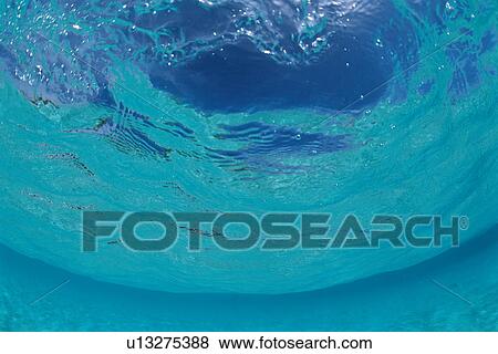 Stock Photo - Underwater in Maldives. Fotosearch
