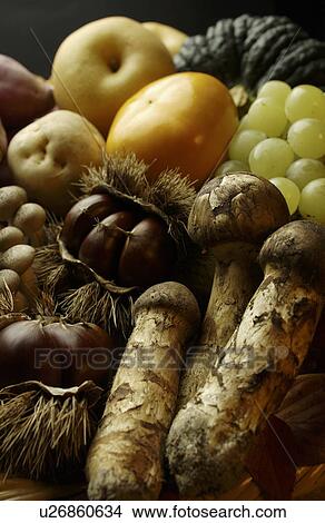 Various Kinds of Autumn Foodstuff in Basket View Large Photo Image Picture - Various Kinds of Autumn Foodstuff in Basket. Fotosearch