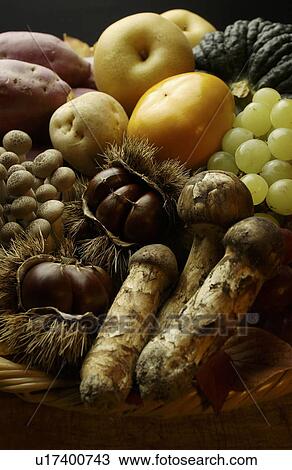 Stock Image - Various Kinds of Autumn Foodstuff in Basket. Fotosearch