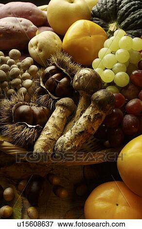 Various Kinds of Autumn Foodstuff in Basket View Large Photo Image Stock Photo - Various Kinds of Autumn Foodstuff in Basket. Fotosearch