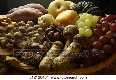 Various Kinds of Autumn Foodstuff View Large Photo Image Picture - Various Kinds of Autumn Foodstuff. Fotosearch