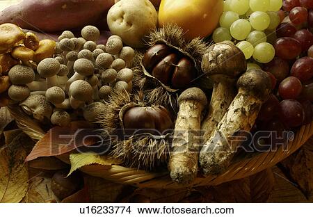 Various Kinds of Autumn Foodstuff View Large Photo Image Picture - Various Kinds of Autumn Foodstuff. Fotosearch