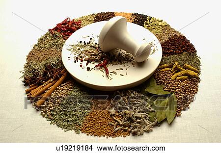 Various spices around mortar and pestle, white background View Large Photo Image Picture - Various spices around mortar and pestle, white background. Fotosearch