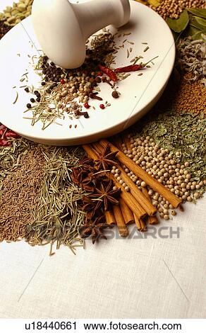 Various spices around mortar and pestle, white background View Large Photo Image Stock Image - Various spices around mortar and pestle, white background. Fotosearch